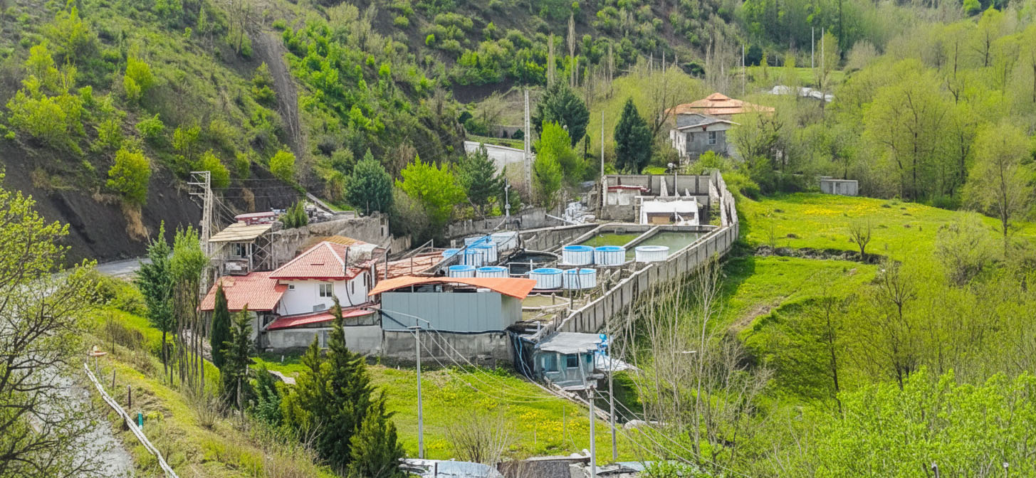 نماي پانوراماي استخرهاي پرورش ماهي قزل آلا در مزرعه دکتر حشمتی در استان گلستان
